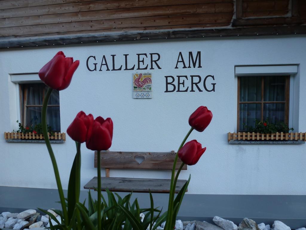 Galler Am Berg San Candido Extérieur photo