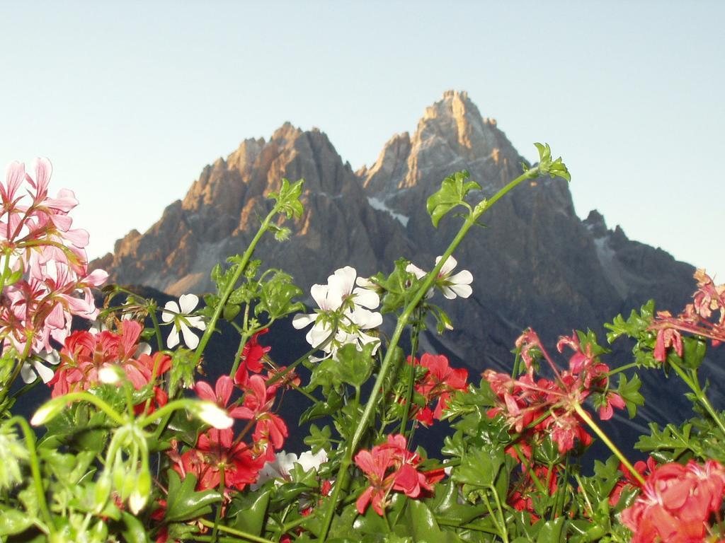 Galler Am Berg San Candido Chambre photo